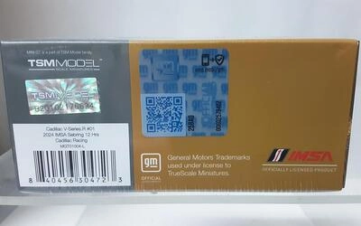 MINI GT 1/64 - CADILLAC V-SERIES R - Nº 01  12HR SEBRING 202